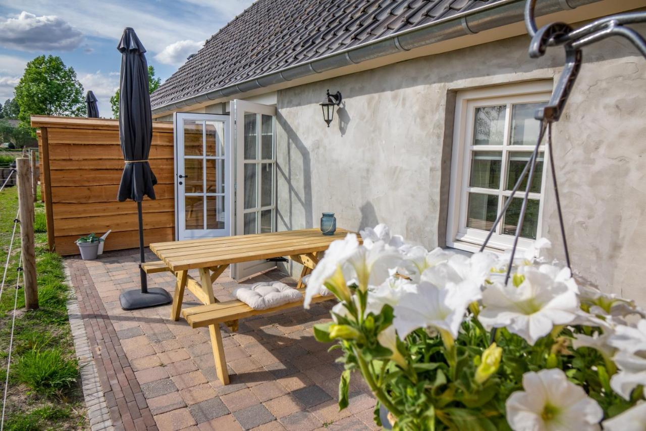 B&B Hoeve Klein Haneveld Sint-Oedenrode Zewnętrze zdjęcie