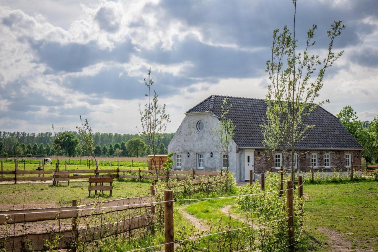 B&B Hoeve Klein Haneveld Sint-Oedenrode Zewnętrze zdjęcie