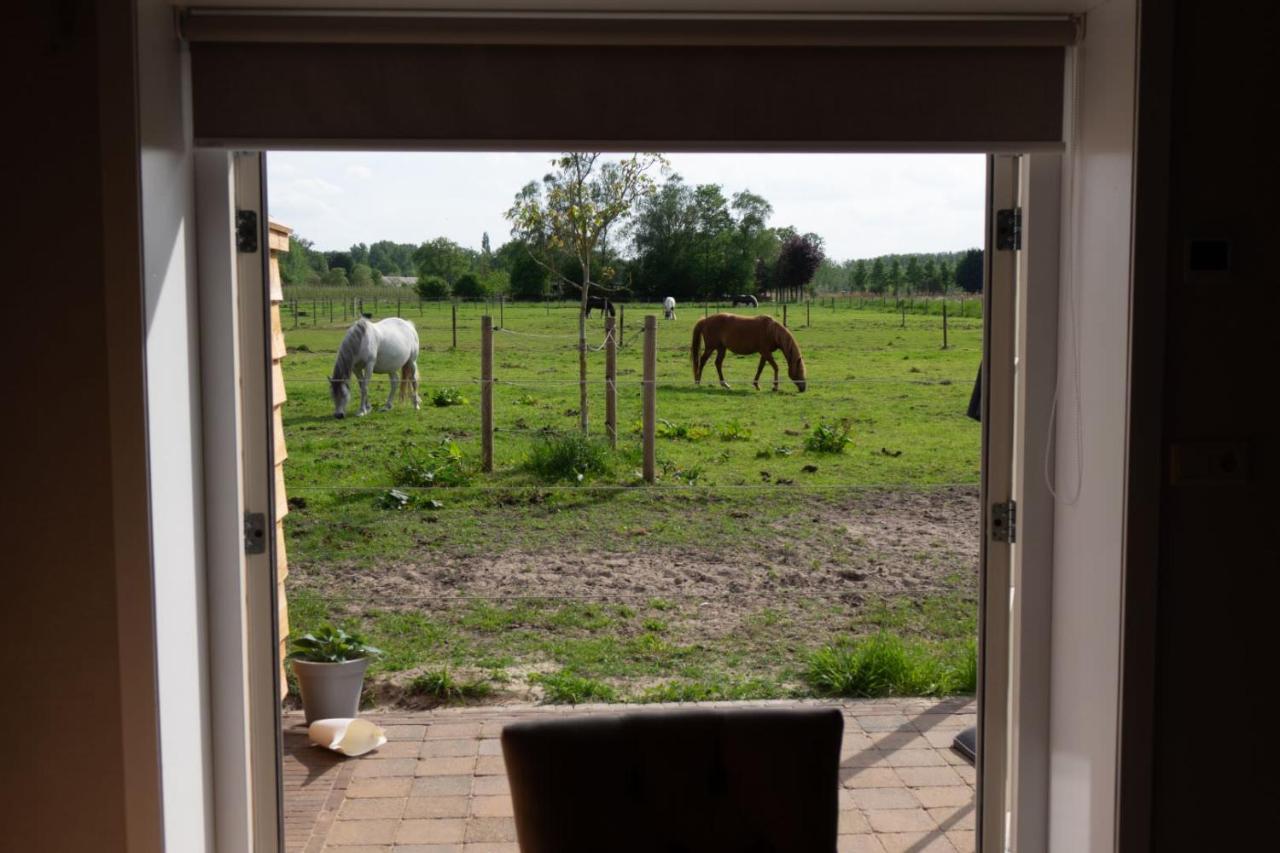 B&B Hoeve Klein Haneveld Sint-Oedenrode Zewnętrze zdjęcie